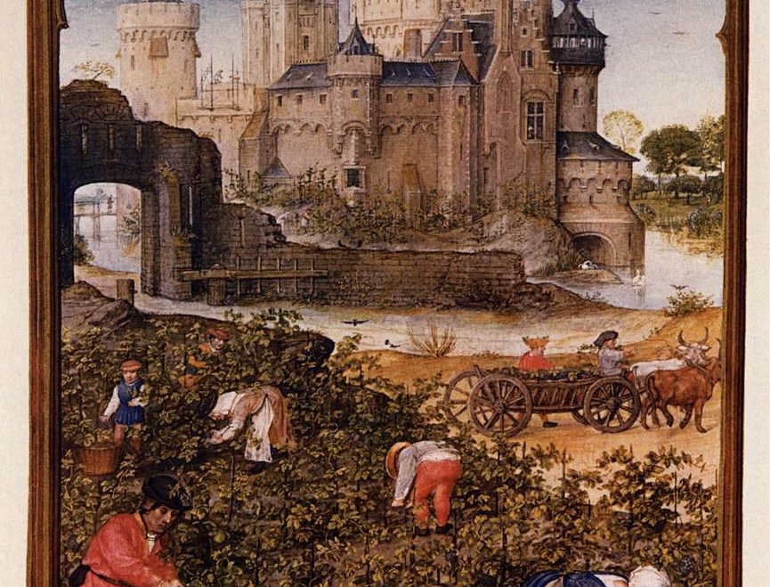 Die vier Temperamente und Gewohnheiten: Warum der übliche Rat bei dreien scheitert
