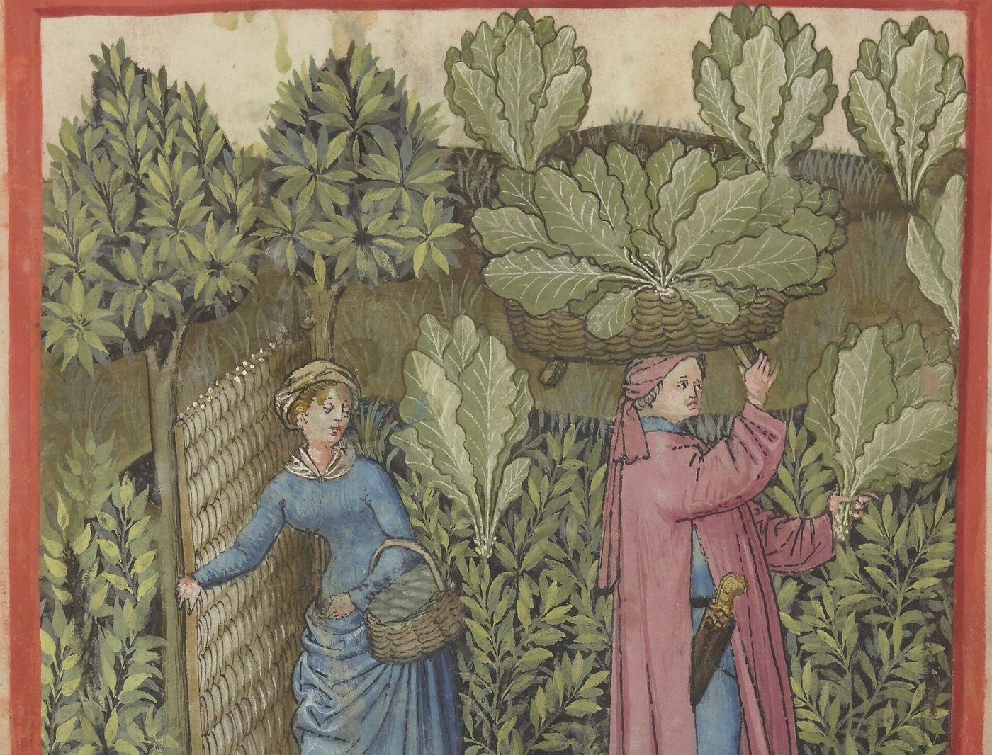 Food and the Four Humors: When Dinner Was Medicine