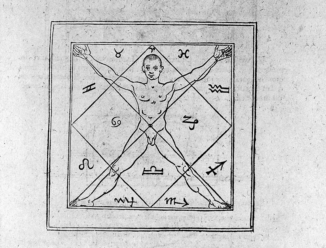 The Body as a Small Universe